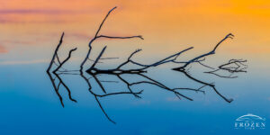 Abstract nature photography from Spring Valley Ohio where the remnants of an old tree form interesting reflections.