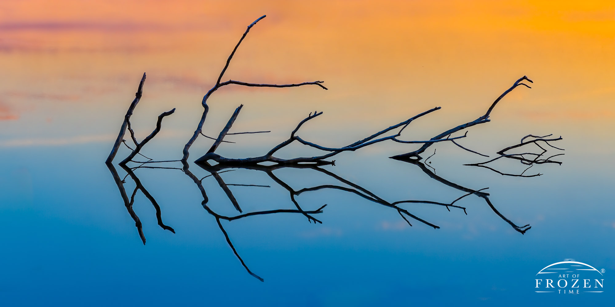 Abstract nature photography from Spring Valley Ohio where the remnants of an old tree form interesting reflections.