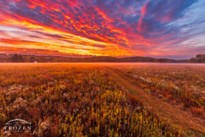 A magical sunrise over Morris Reserve near Bellbrook Ohio where the sun illuminated storm clouds which in turn lit the foggy prairie trail.