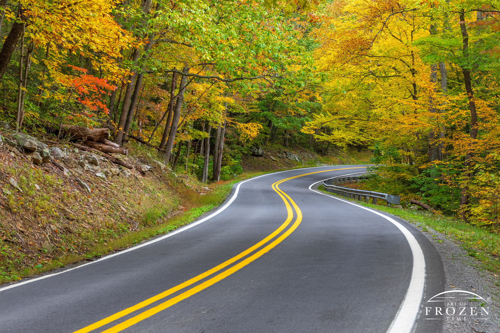 West Virginia Fine Art Photography featuring the Mountaineer Highway as it forms soothing serpentine curves through the fall color.