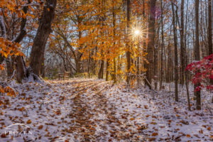 Orange Trail in Snow Sugarcreek MetroPark No 32 | Art of Frozen Time Snow-dusted forest path at Sugarcreek MetroPark leading to a sunlit bench surrounded by warm autumn light and trees