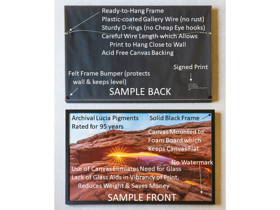 Sample Canvas Print Features