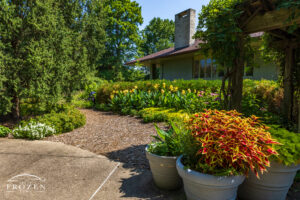 An outdoor garden scene on a sunny day featuring flower beds and potted plants