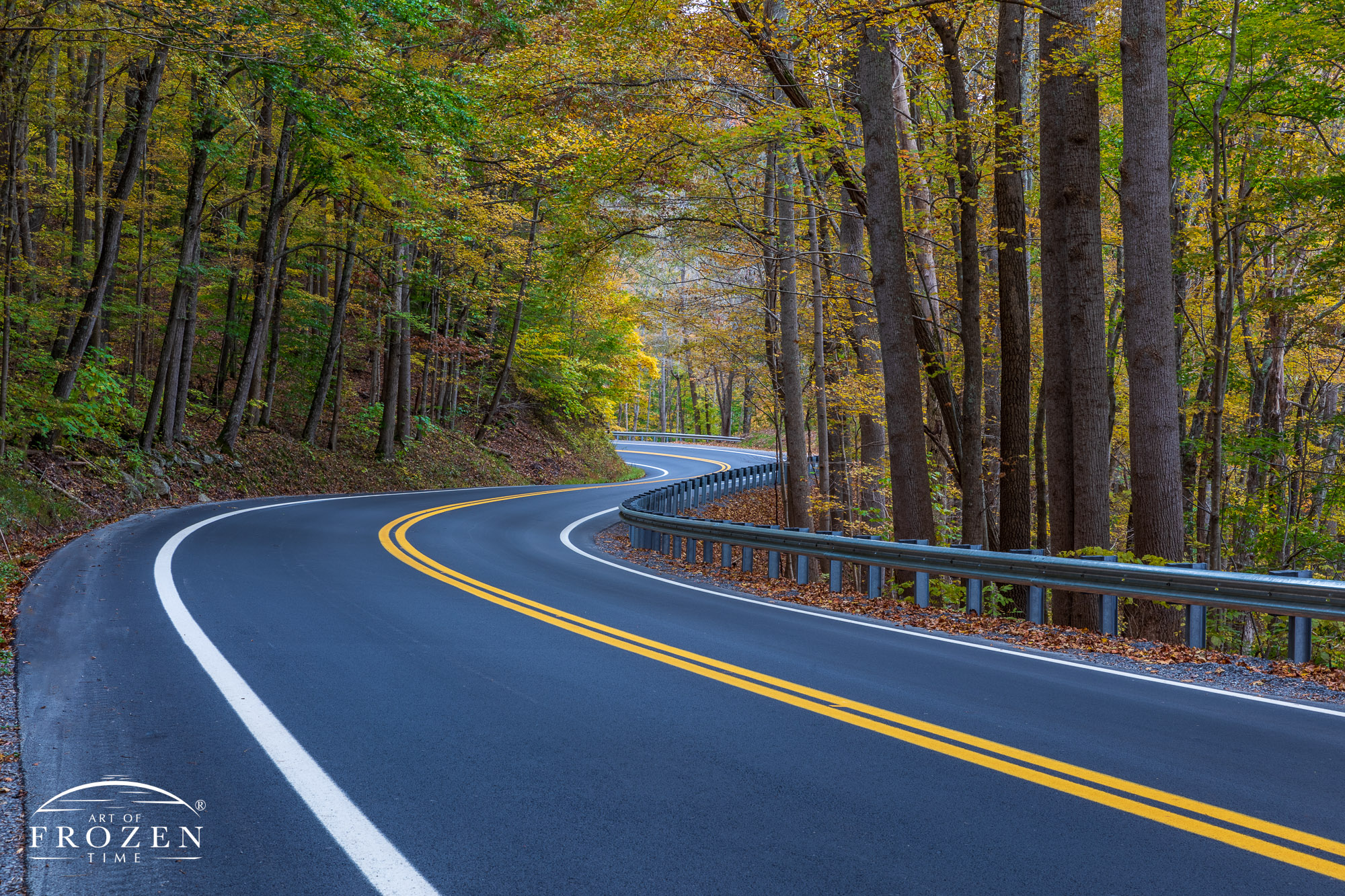 Fine Art photography of autumn-colored trees following the gentle curves of a West Virginia Country Road through New River Gorge