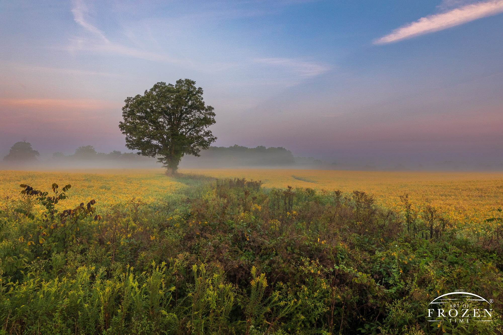 Ohio Fine Art Photography on my way to Yellow Springs Ohio on an early fall morning