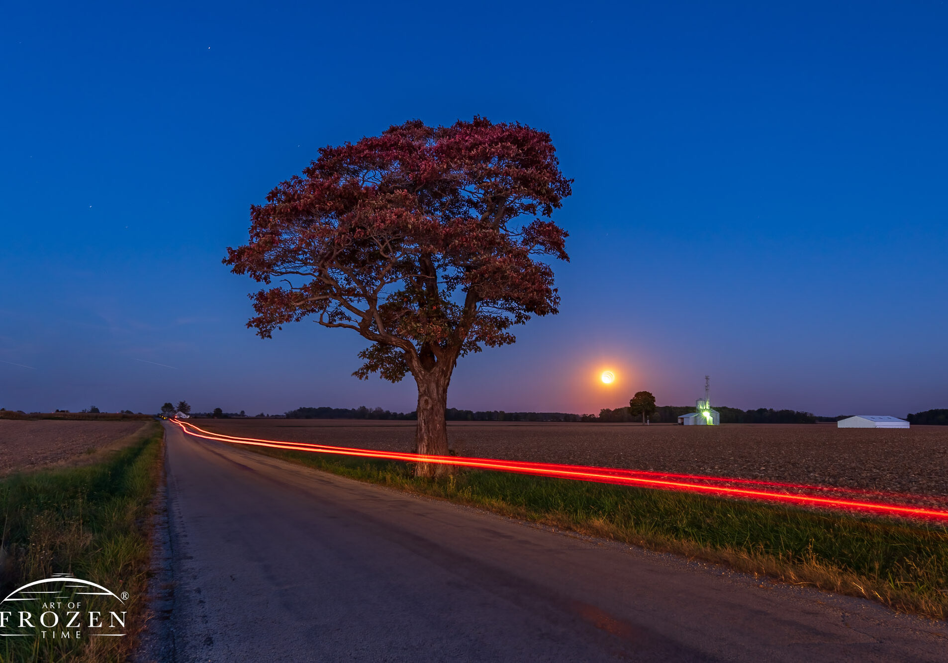 Hunters Moonrise over Greene County featuring a tree along an empty country road which cuts through fields recently cleared of corn.