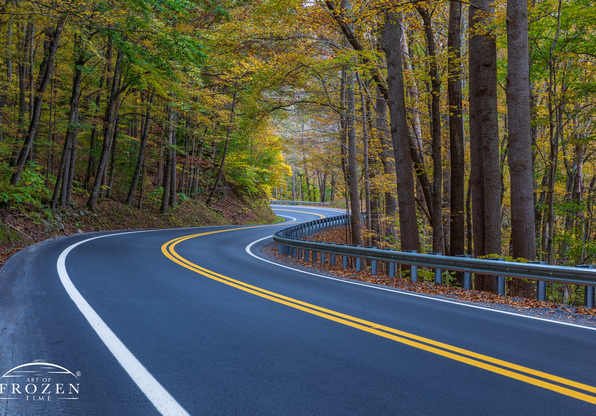 Fine Art photography of autumn-colored trees following the gentle curves of a West Virginia Country Road through New River Gorge
